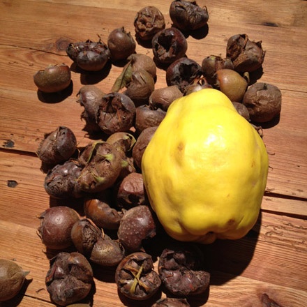 Quince and Medlars